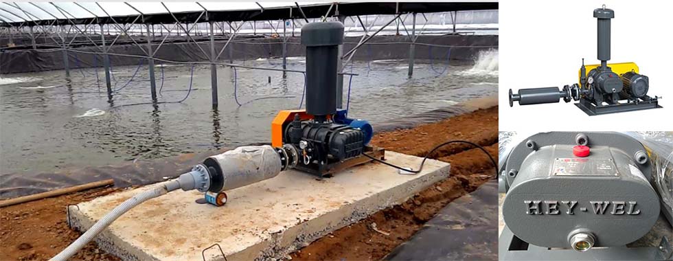 Cung cấp bùn vi sinh giá rẻ toàn quốc