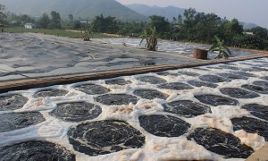 Cung cấp bùn vi sinh cho hệ thống xử lý nước thải miền Bắc
