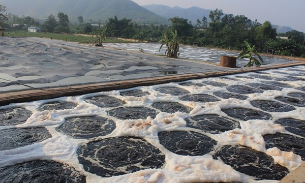 Cung cấp bùn vi sinh cho hệ thống xử lý nước thải miền Bắc